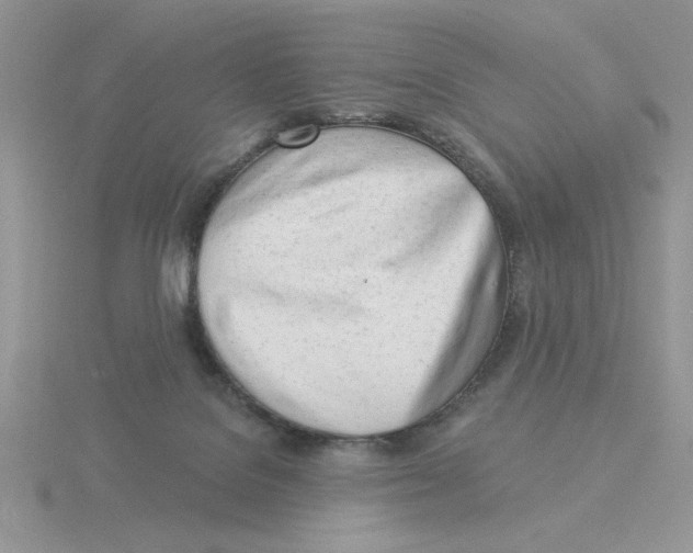 X0000115830076200912111321