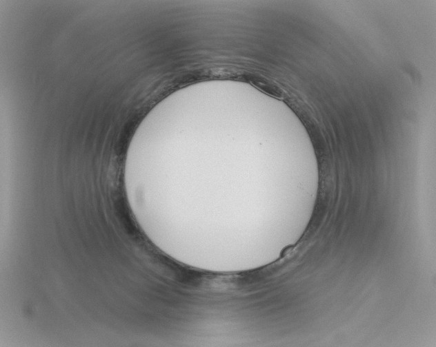 X0000115830078200912111321