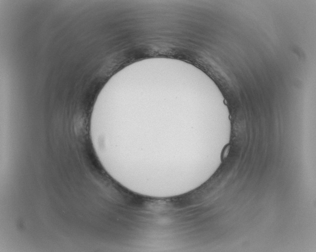 X0000115830079200912111321