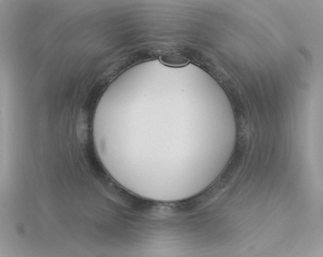 X0000115830080200912111321