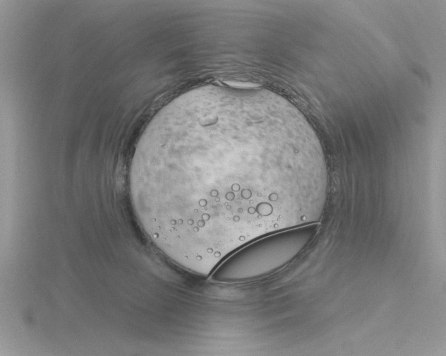 X0000115830081200912111321