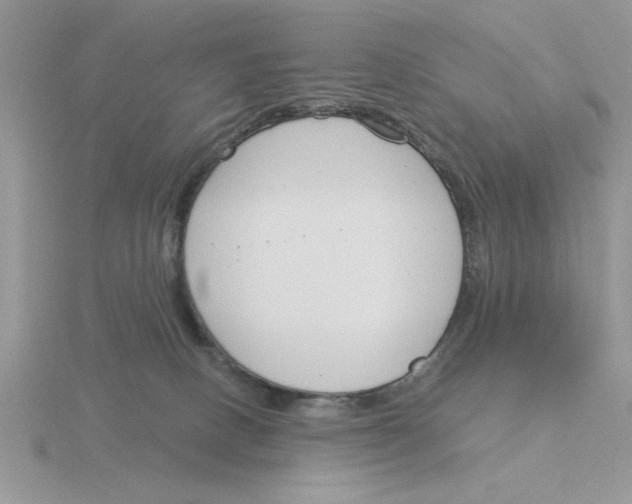 X0000115830082200912111321