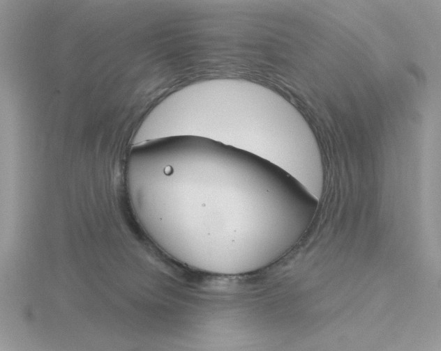 X0000115830084200912111321