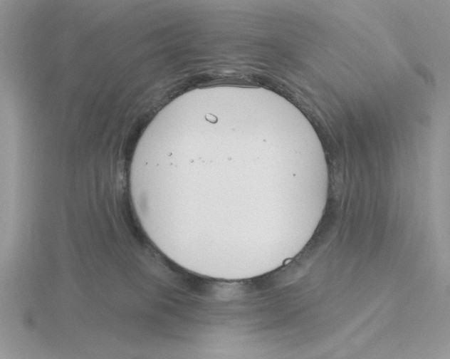 X0000115830085200912111321