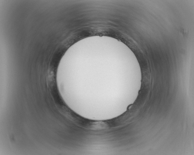 X0000115830087200912111321