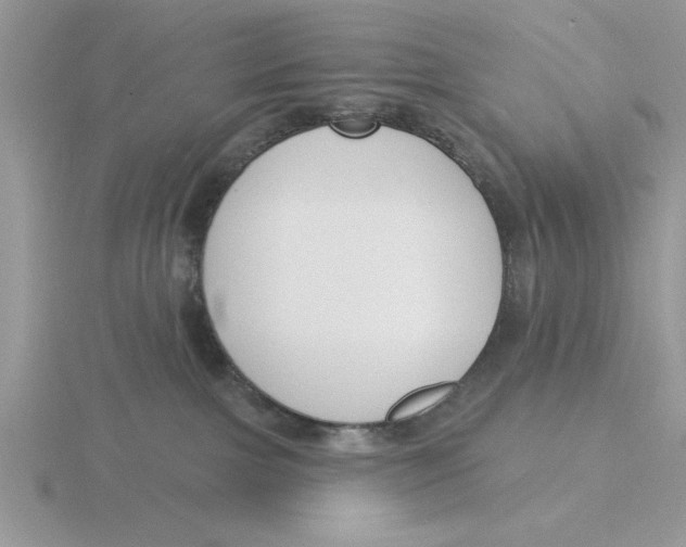 X0000115830091200912111321