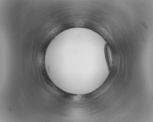 X0000115830092200912111321