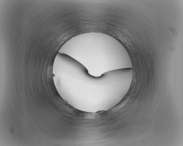 X0000115830096200912111321