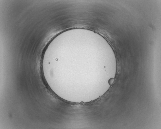 X0000115830098200912111320