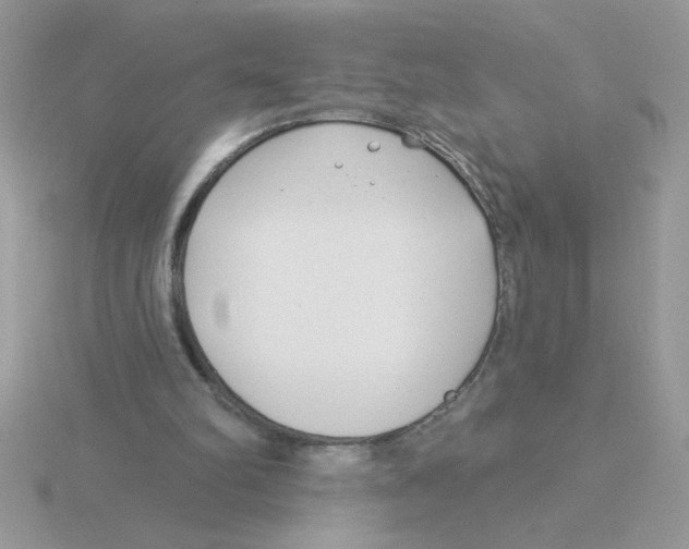 X0000115830102200912111320