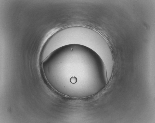 X0000115830104200912111320