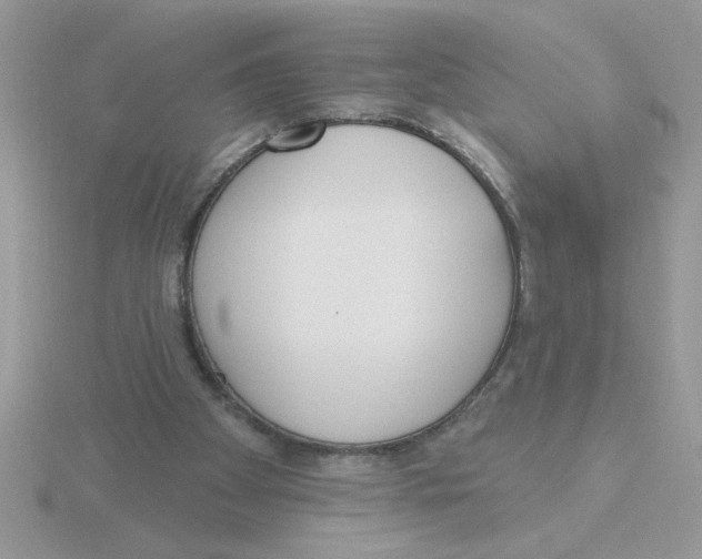 X0000115830105200912111320