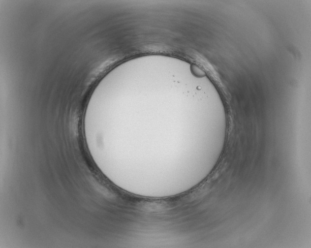 X0000115830106200912111320