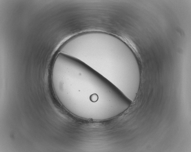 X0000115830108200912111320