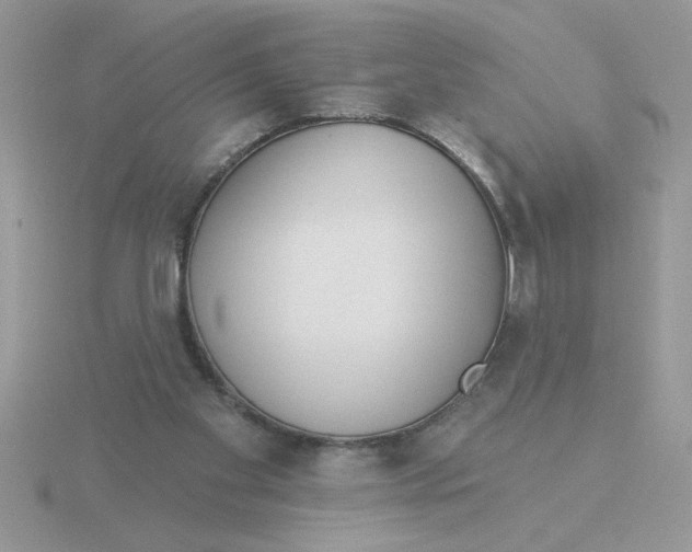 X0000115830109200912111320