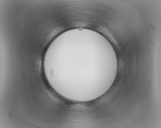 X0000115830110200912111320