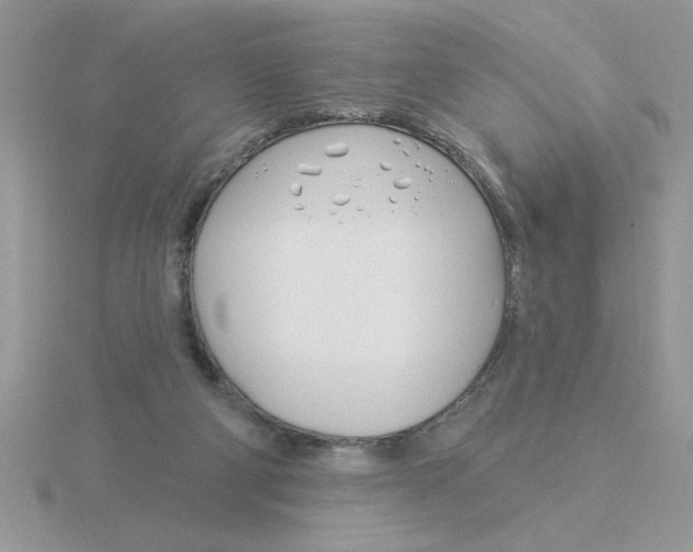 X0000115830114200912111320