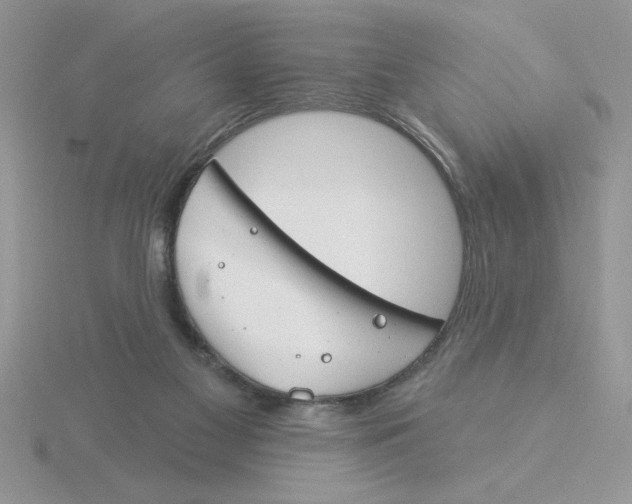 X0000115830117200912111320