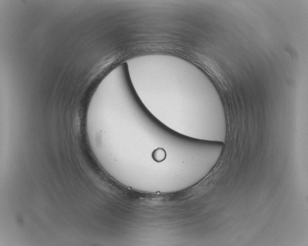 X0000115830120200912111320