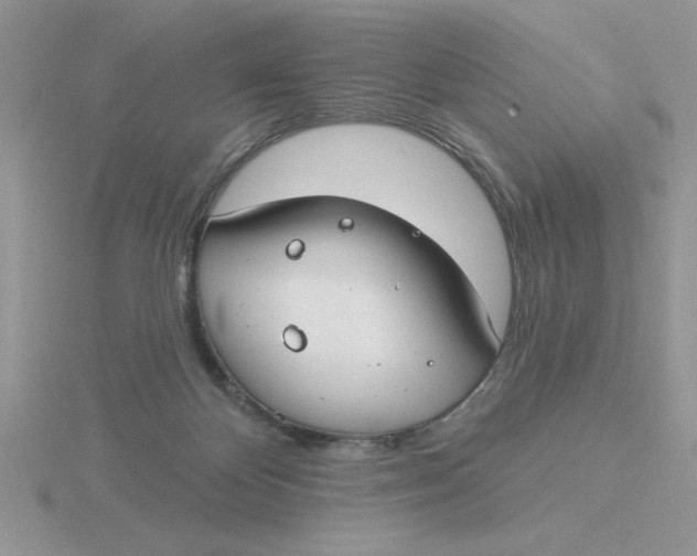 X0000115830124200912111320