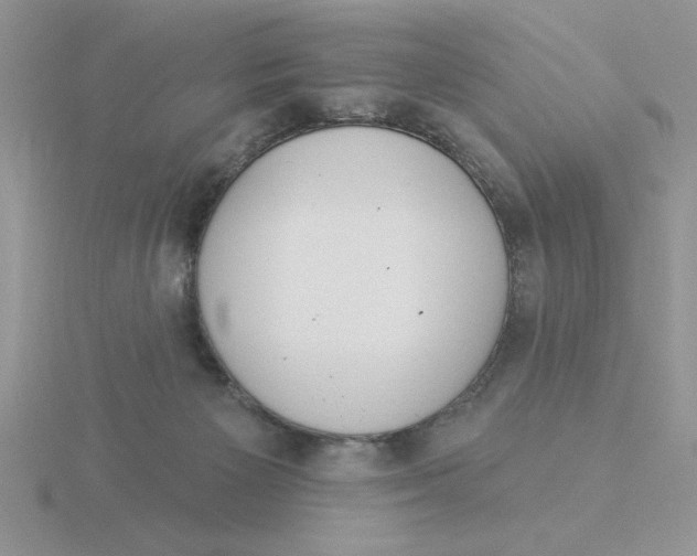 X0000115830125200912111320