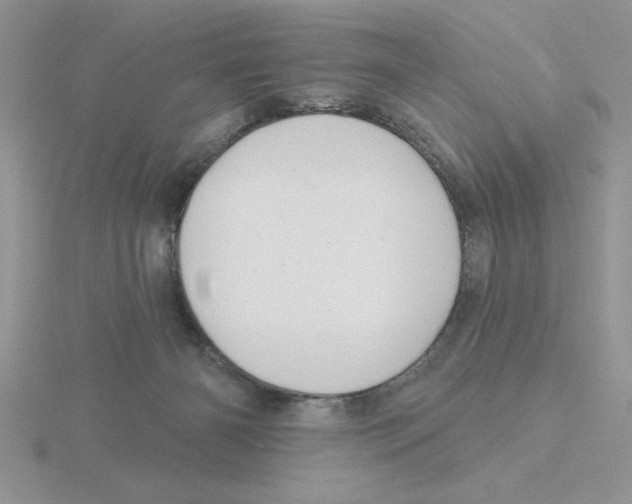 X0000115830126200912111320