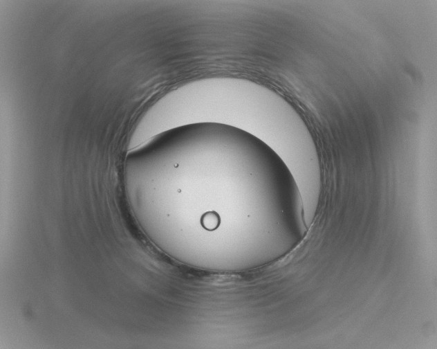 X0000115830128200912111320