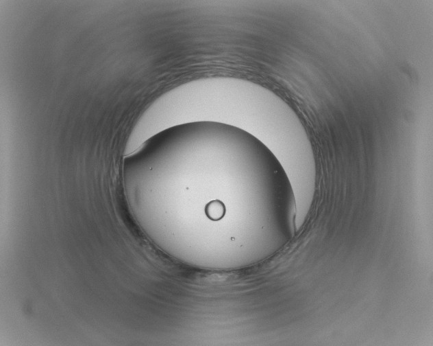 X0000115830129200912111320