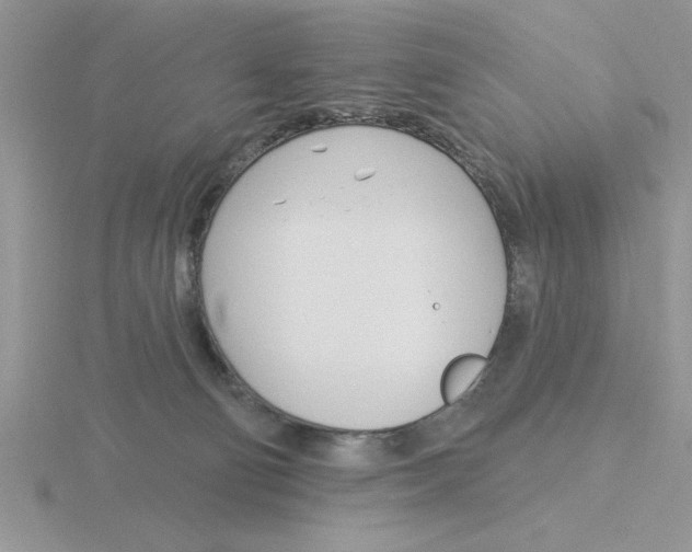 X0000115830130200912111320