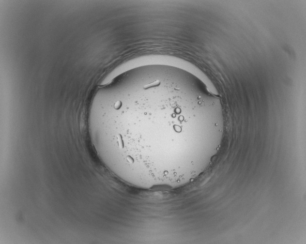 X0000115830131200912111320