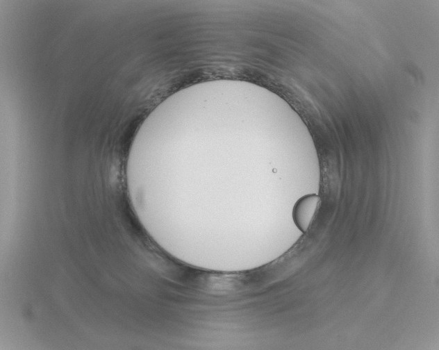 X0000115830134200912111320