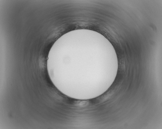 X0000115830135200912111320