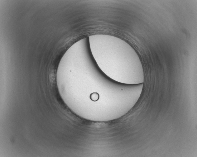 X0000115830137200912111320