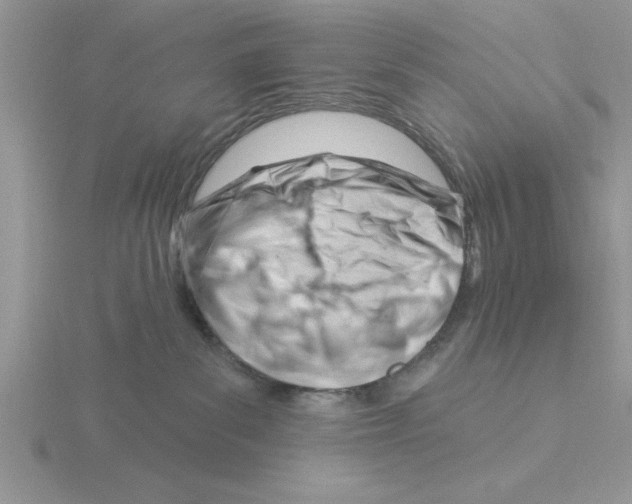 X0000115830139200912111320