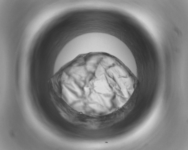 X0000115830143200912111320