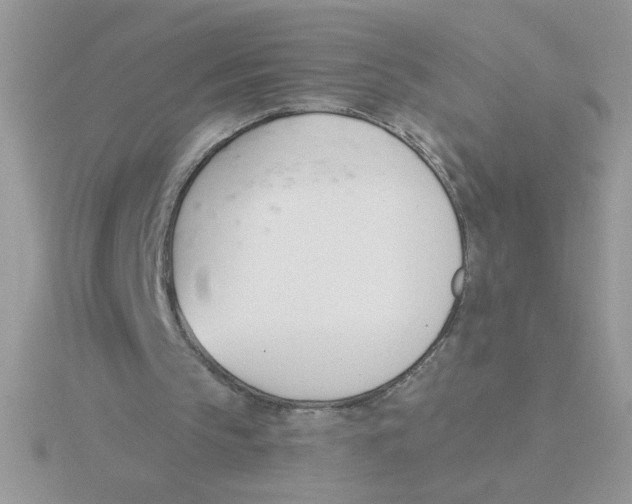 X0000115830145200912111319