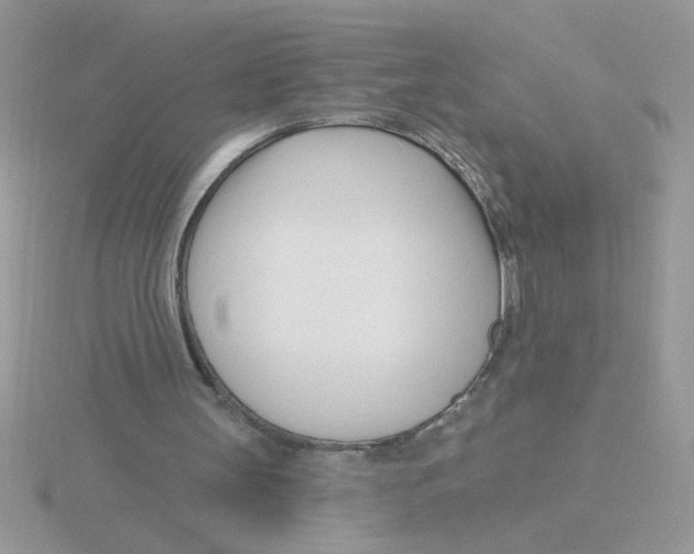 X0000115830147200912111319