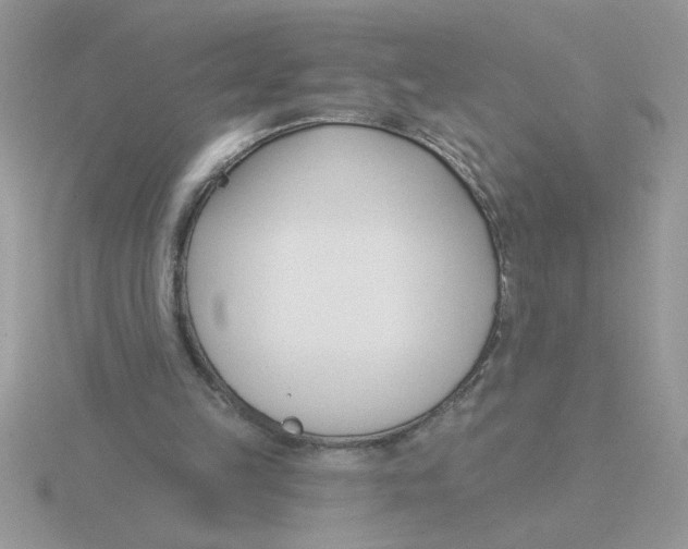 X0000115830149200912111319