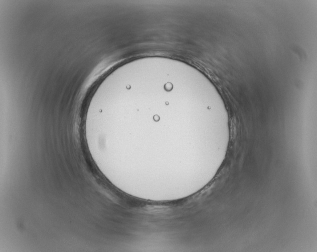 X0000115830150200912111319