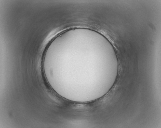 X0000115830151200912111319