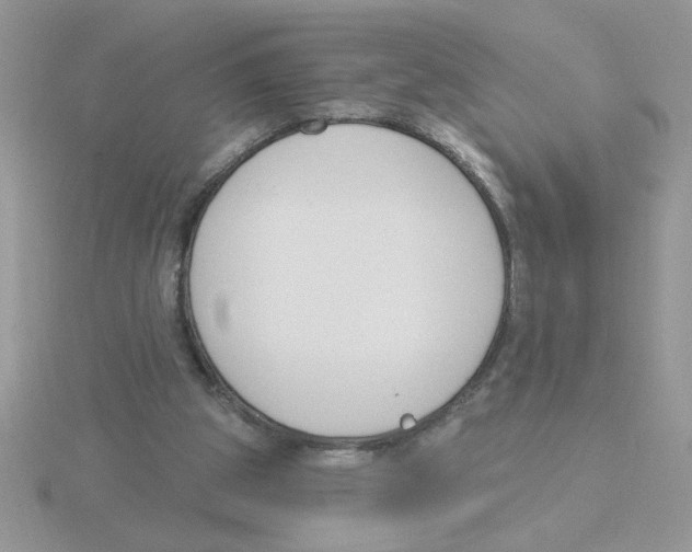 X0000115830153200912111319