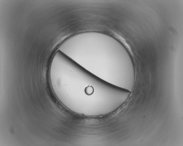 X0000115830154200912111319