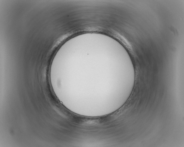 X0000115830155200912111319