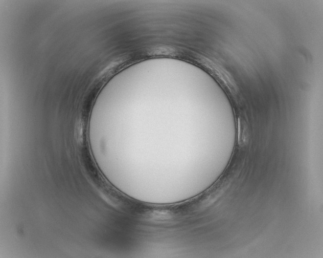 X0000115830157200912111319