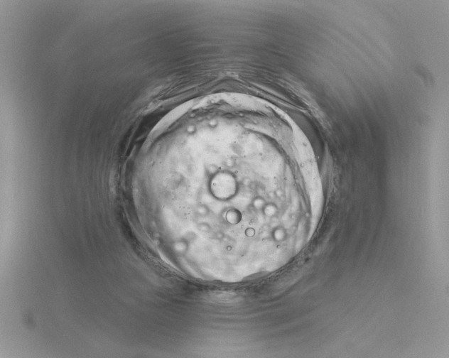 X0000115830161200912111319