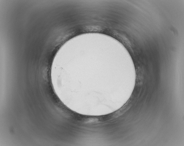 X0000115830162200912111319