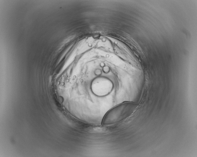 X0000115830163200912111319