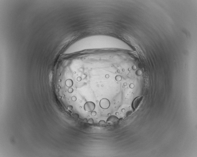 X0000115830167200912111320