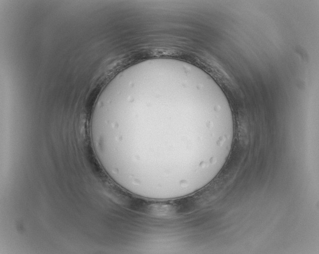 X0000115830169200912111320