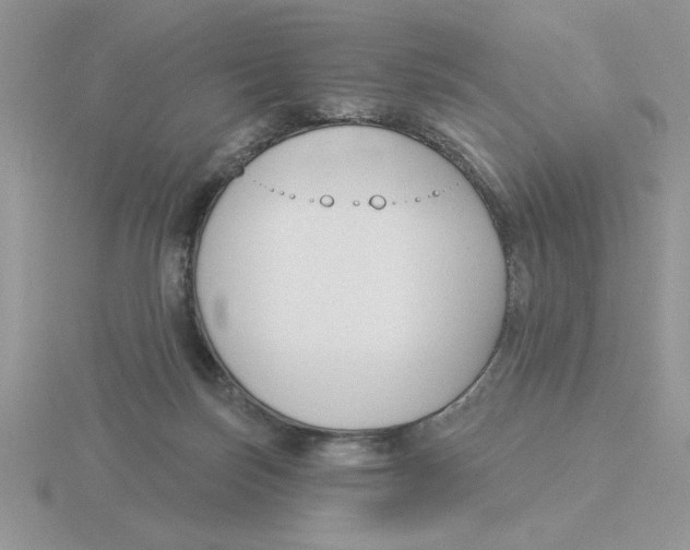 X0000115830171200912111320